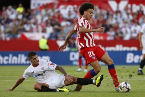 Λαμέλα Βίτσελ