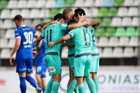 Λεβαδειακός-Πανσερραϊκός