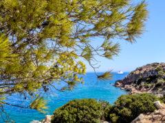 Καιρός: Μελτέμια με βροχές και καταιγίδες και στην Αττική – Έως 34 βαθμούς η θερμοκρασία