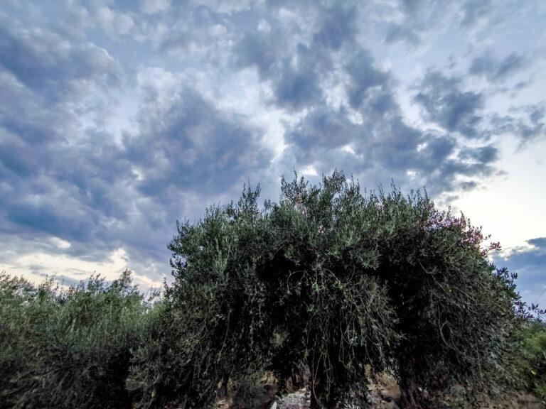 Καιρός: Αλλάζει το σκηνικό, πτώση θερμοκρασίας, ενίσχυση βοριάδων και τοπικές βροχές - Πού θα "χτυπήσει" η κακοκαιρία